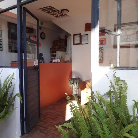 Hotel Posada El Gran Cipres San Cristóbal de Las Casas Extérieur photo